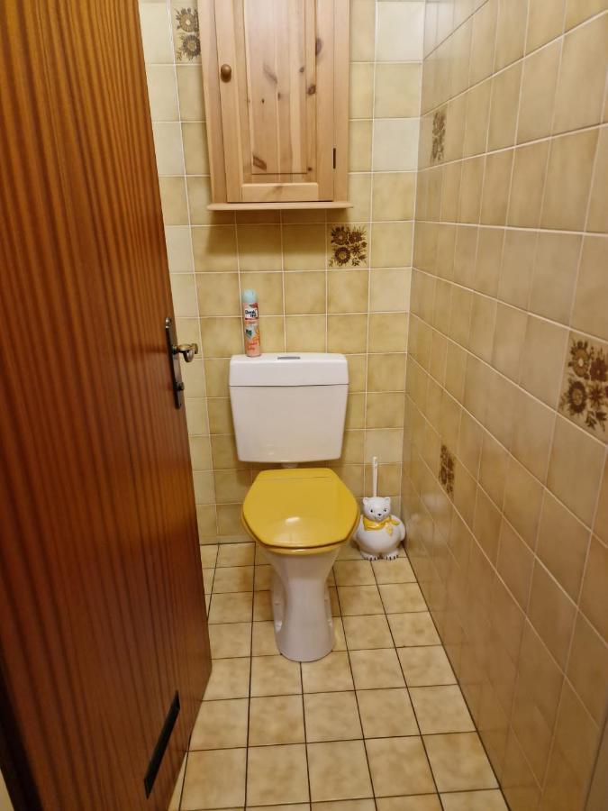 Appartment Christine Bad Aussee Bagian luar foto